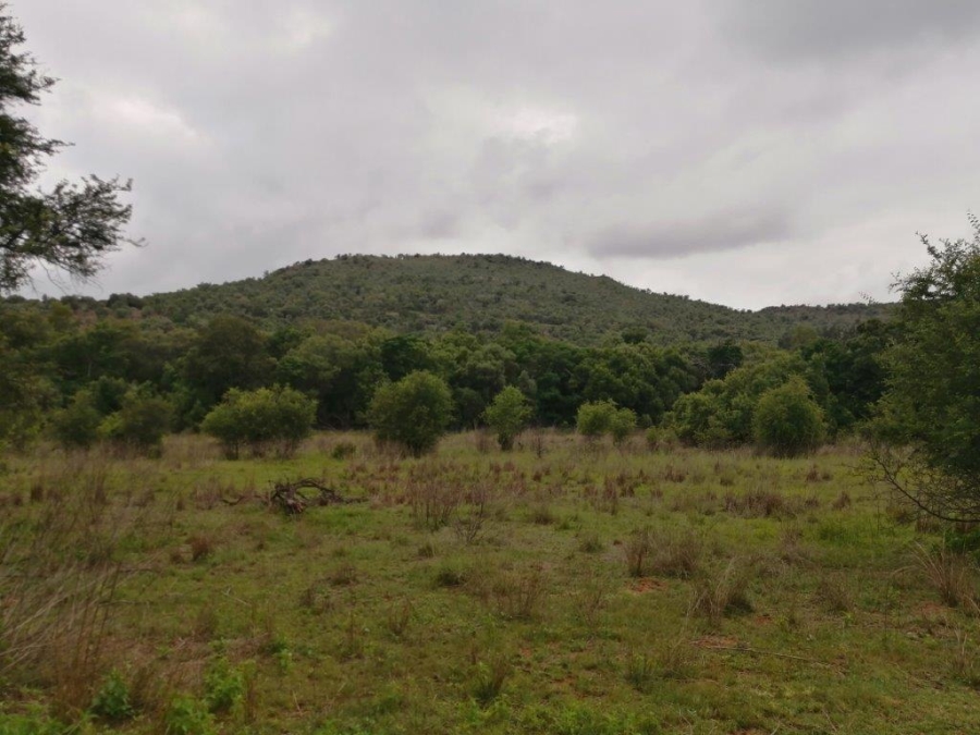 Commercial Property for Sale in Swartruggens North West